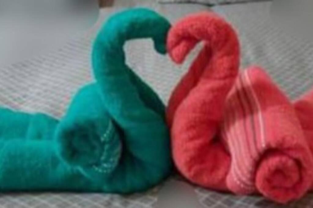 דירות Maury La Tomette Entre Terre Et Mer 2 Etoiles מראה חיצוני תמונה
